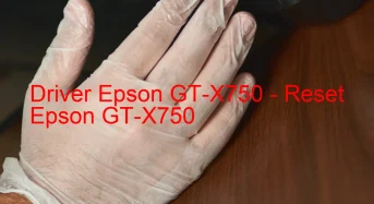 Epson GT-X750のドライバーのダウンロード,Epson GT-X750 のリセットソフトウェアのダウンロード