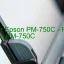 Epson PM-750Cのドライバーのダウンロード,Epson PM-750C のリセットソフトウェアのダウンロード