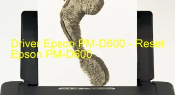 Epson PM-D600のドライバーのダウンロード,Epson PM-D600 のリセットソフトウェアのダウンロード