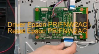 Epson PRIFNW2ACのドライバーのダウンロード,Epson PRIFNW2AC のリセットソフトウェアのダウンロード