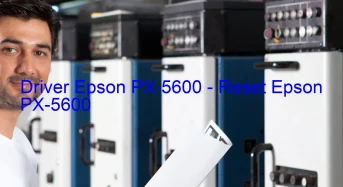 Epson PX-5600のドライバーのダウンロード,Epson PX-5600 のリセットソフトウェアのダウンロード