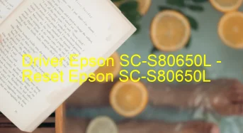 Epson SC-S80650Lのドライバーのダウンロード,Epson SC-S80650L のリセットソフトウェアのダウンロード