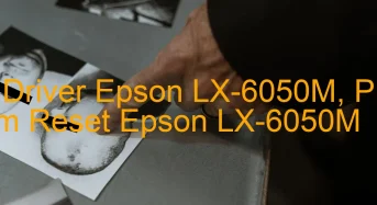 Tải Driver Epson LX-6050M, Phần Mềm Reset Epson LX-6050M
