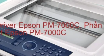 Tải Driver Epson PM-7000C, Phần Mềm Reset Epson PM-7000C