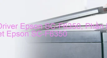 Tải Driver Epson SC-F6350, Phần Mềm Reset Epson SC-F6350