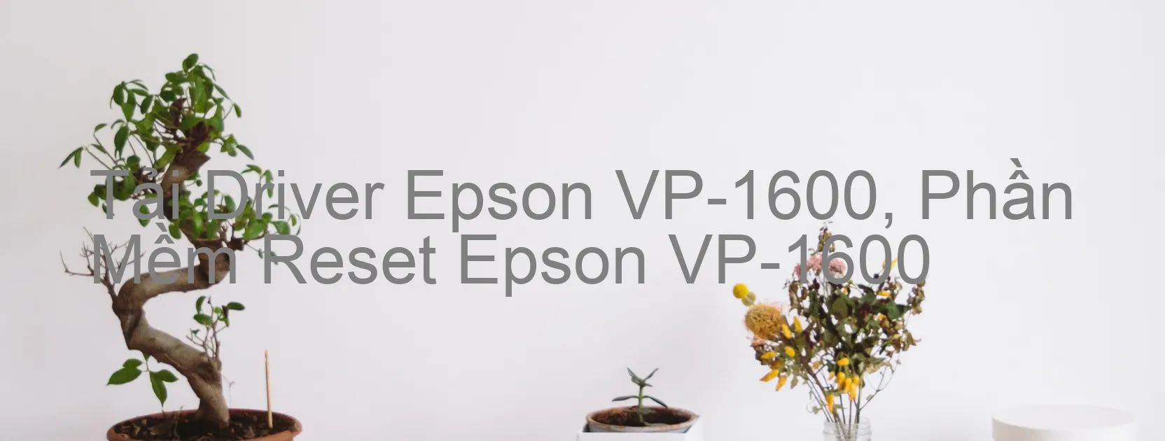 Driver Epson VP-1600, Phần Mềm Reset Epson VP-1600