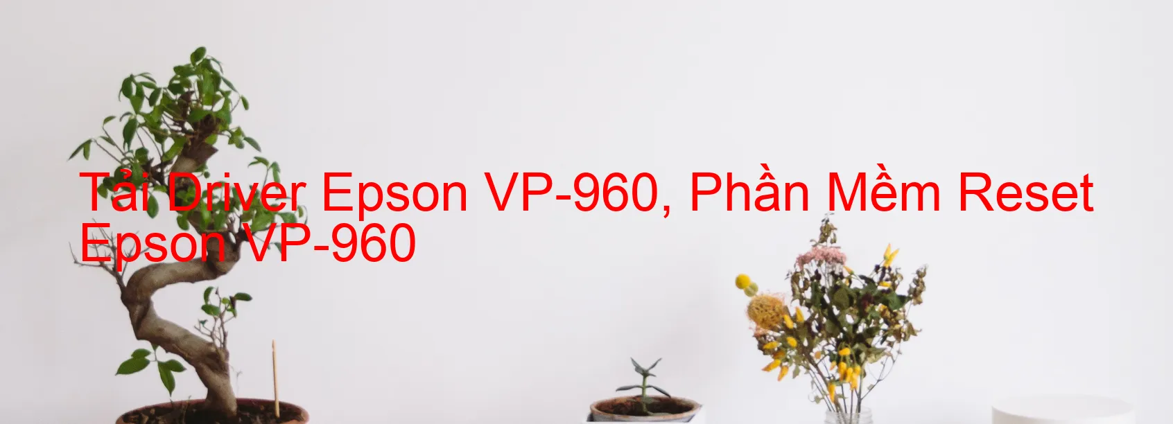 Driver Epson VP-960, Phần Mềm Reset Epson VP-960
