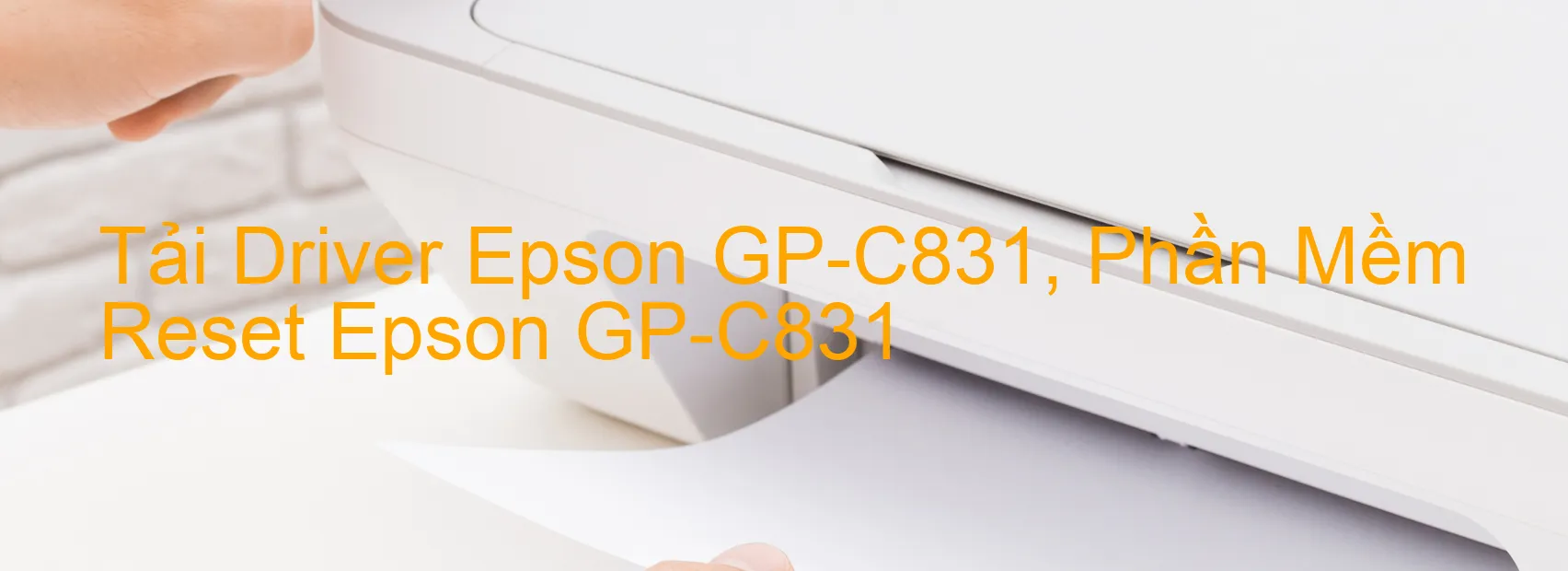 Driver Epson GP-C831, Phần Mềm Reset Epson GP-C831