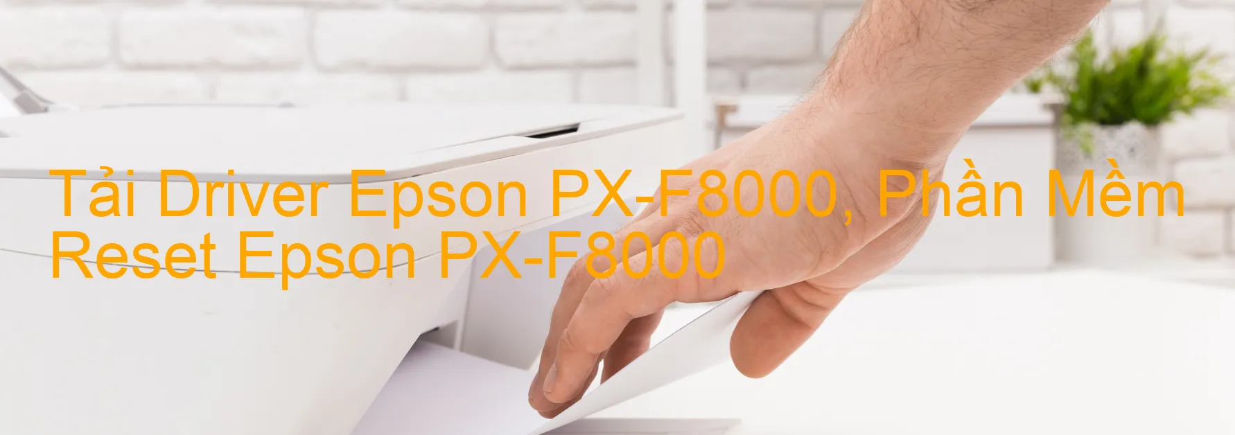 Driver Epson PX-F8000, Phần Mềm Reset Epson PX-F8000