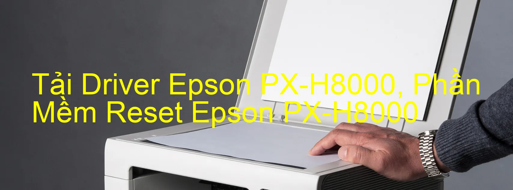 Driver Epson PX-H8000, Phần Mềm Reset Epson PX-H8000