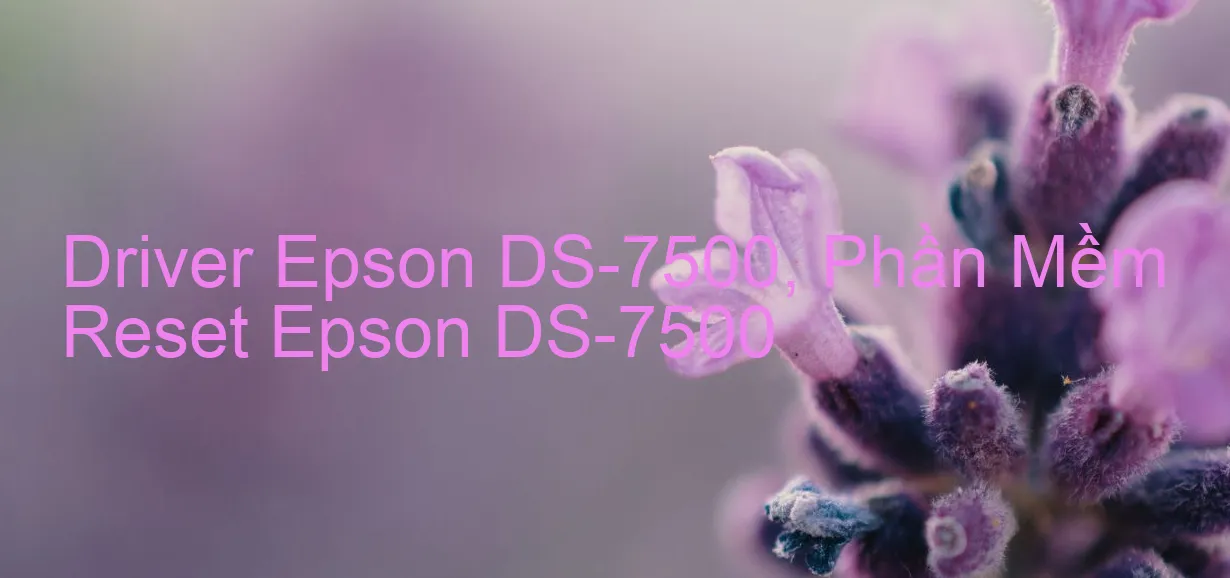 Driver Epson DS-7500, Phần Mềm Reset Epson DS-7500