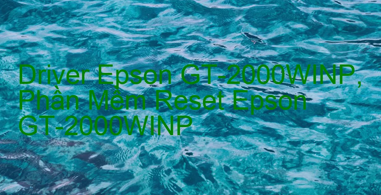 Driver Epson GT-2000WINP, Phần Mềm Reset Epson GT-2000WINP