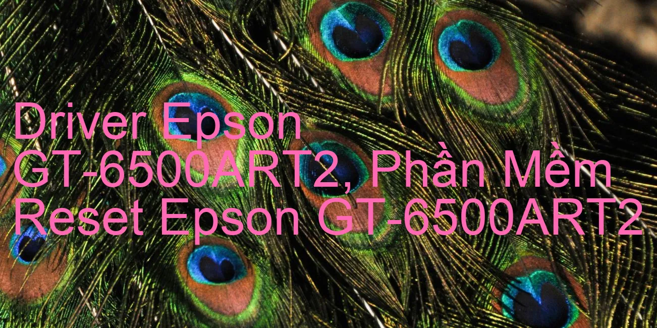 Driver Epson GT-6500ART2, Phần Mềm Reset Epson GT-6500ART2