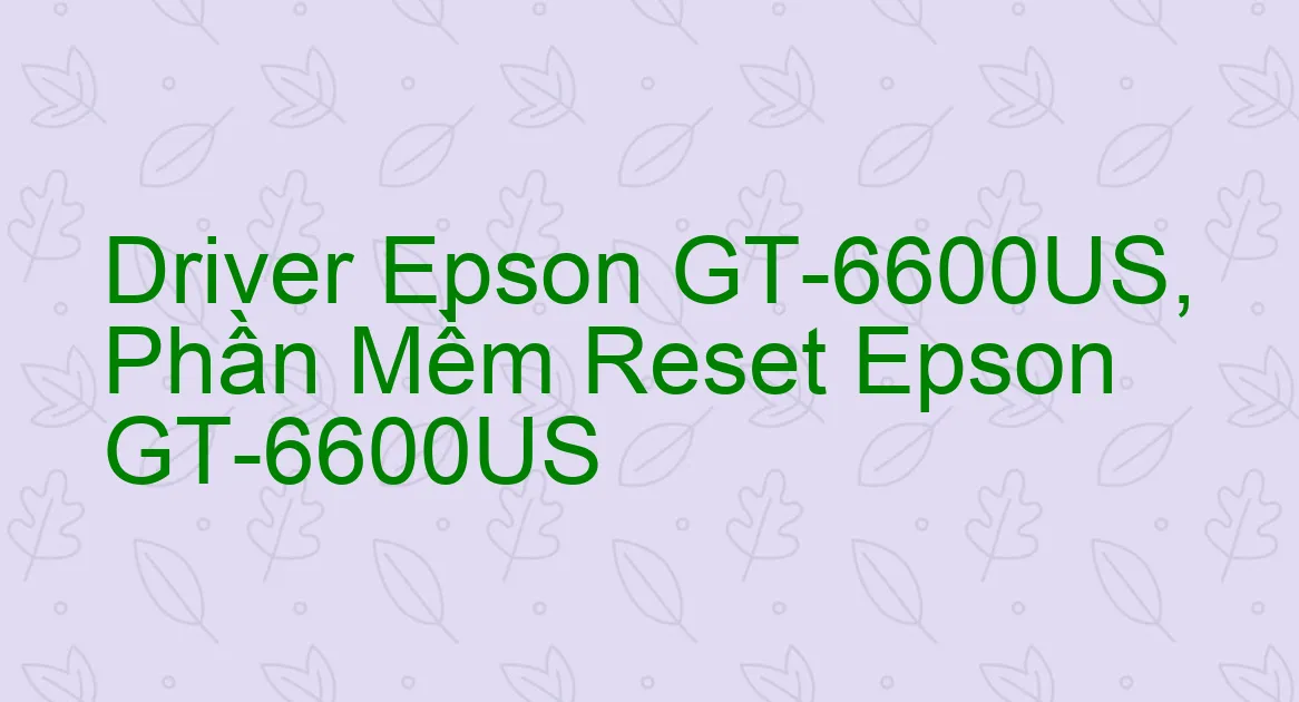 Driver Epson GT-6600US, Phần Mềm Reset Epson GT-6600US