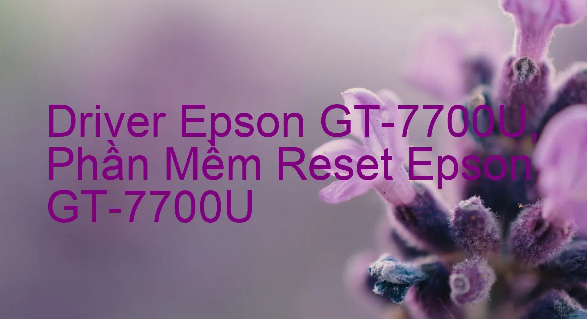 Driver Epson GT-7700U, Phần Mềm Reset Epson GT-7700U