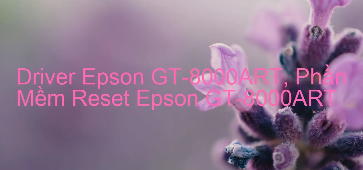 Driver Epson GT-8000ART, Phần Mềm Reset Epson GT-8000ART