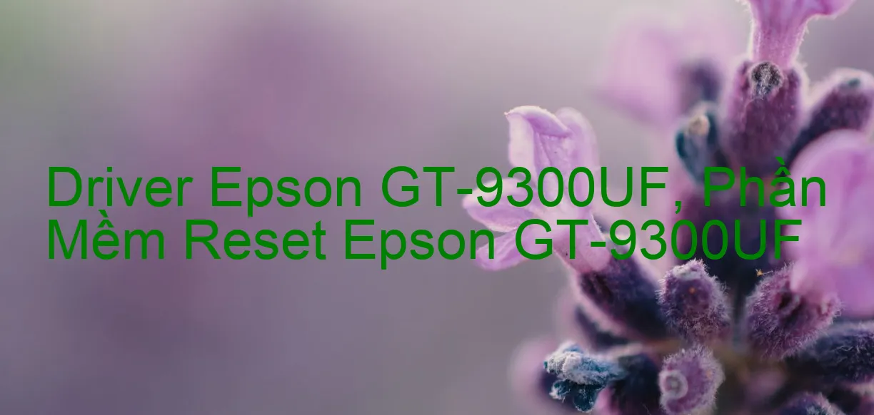 Driver Epson GT-9300UF, Phần Mềm Reset Epson GT-9300UF