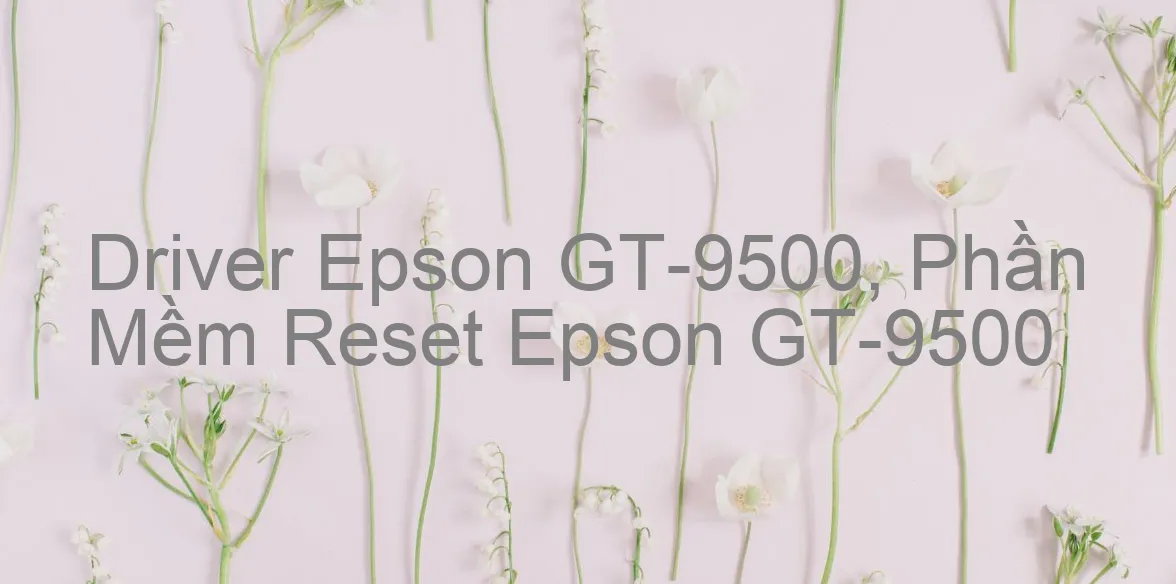 Driver Epson GT-9500, Phần Mềm Reset Epson GT-9500