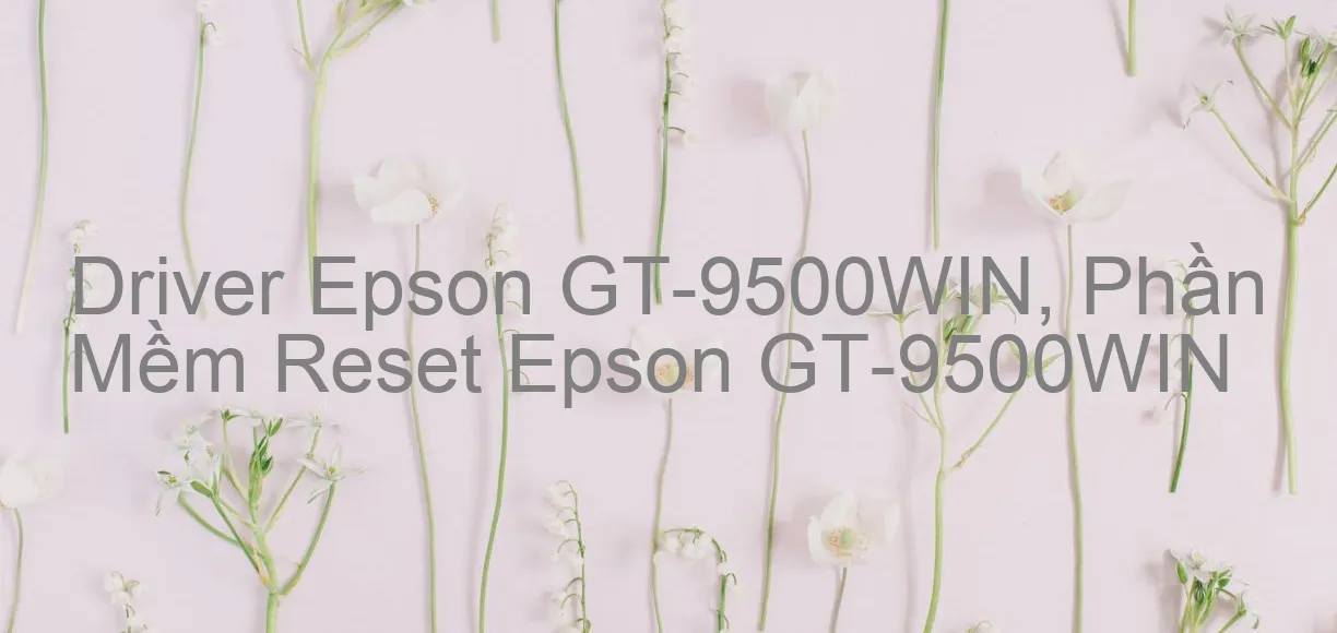 Driver Epson GT-9500WIN, Phần Mềm Reset Epson GT-9500WIN