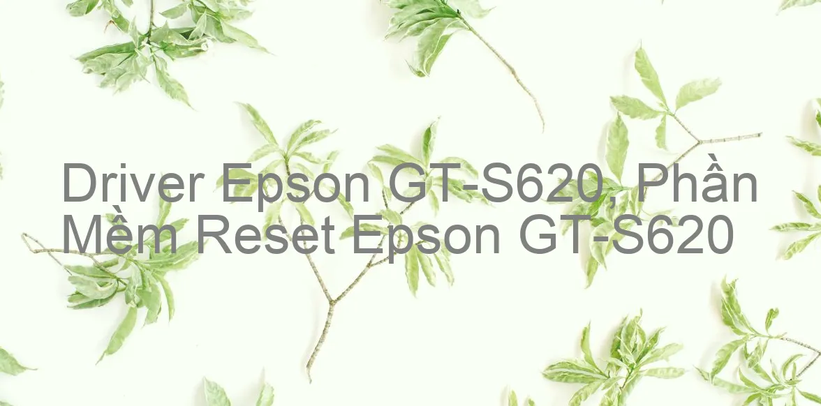 Driver Epson GT-S620, Phần Mềm Reset Epson GT-S620