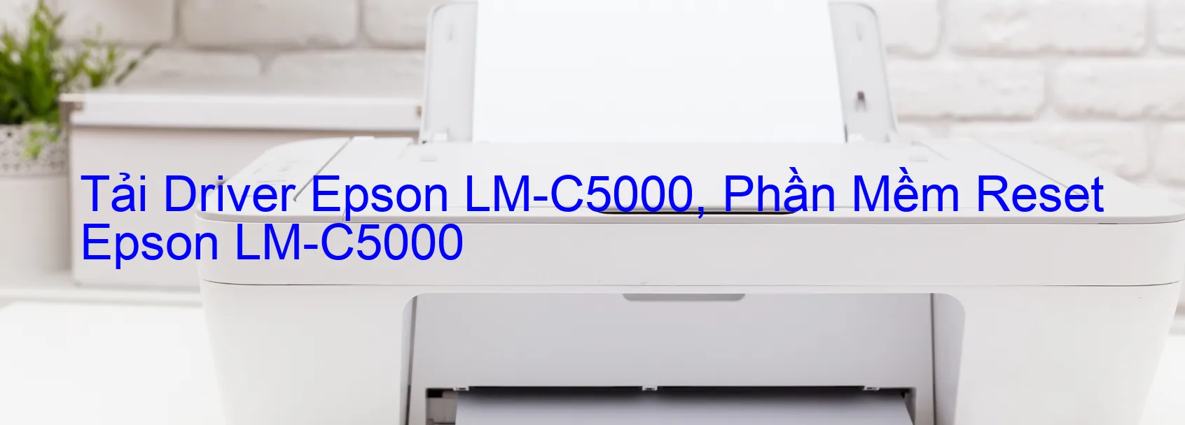 Driver Epson LM-C5000, Phần Mềm Reset Epson LM-C5000