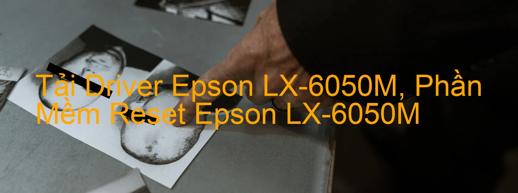 Driver Epson LX-6050M, Phần Mềm Reset Epson LX-6050M