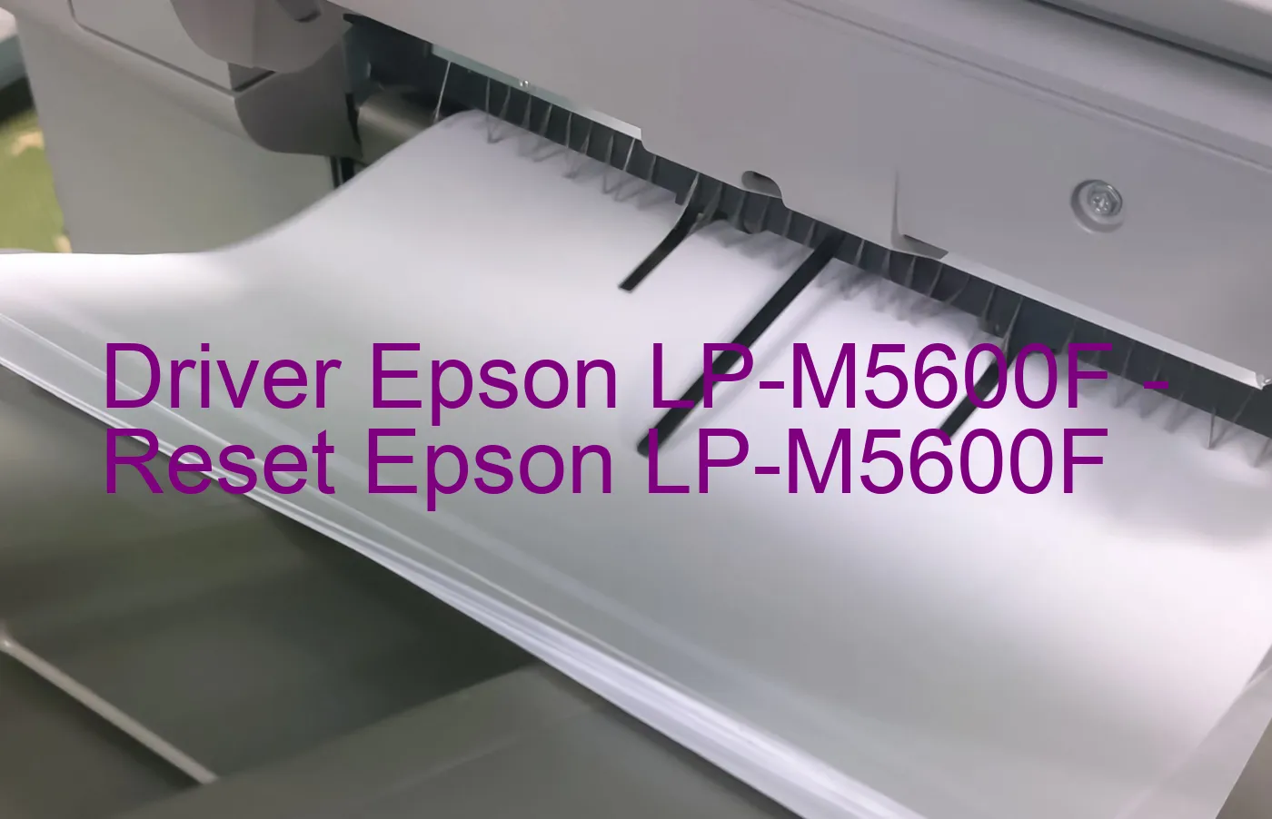 Epson LP-M5600Fのドライバー、Epson LP-M5600Fのリセットソフトウェア