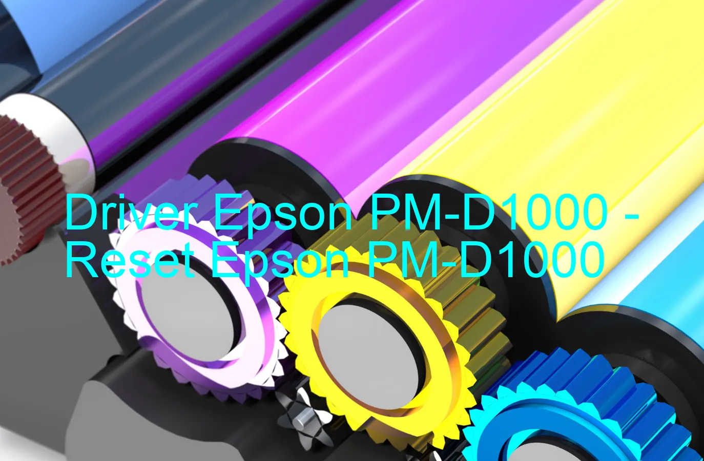 Epson PM-D1000のドライバー、Epson PM-D1000のリセットソフトウェア