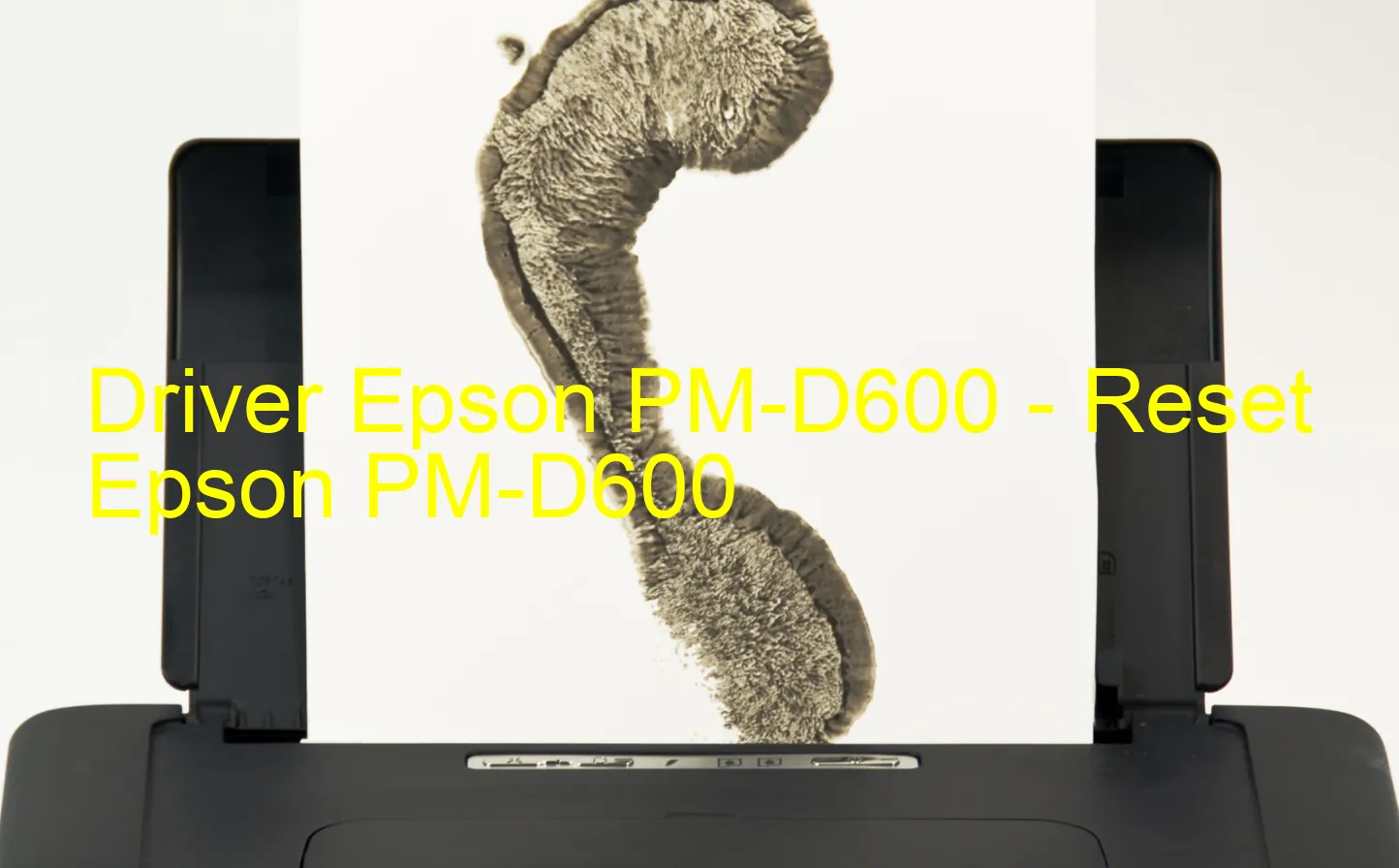 Epson PM-D600のドライバー、Epson PM-D600のリセットソフトウェア