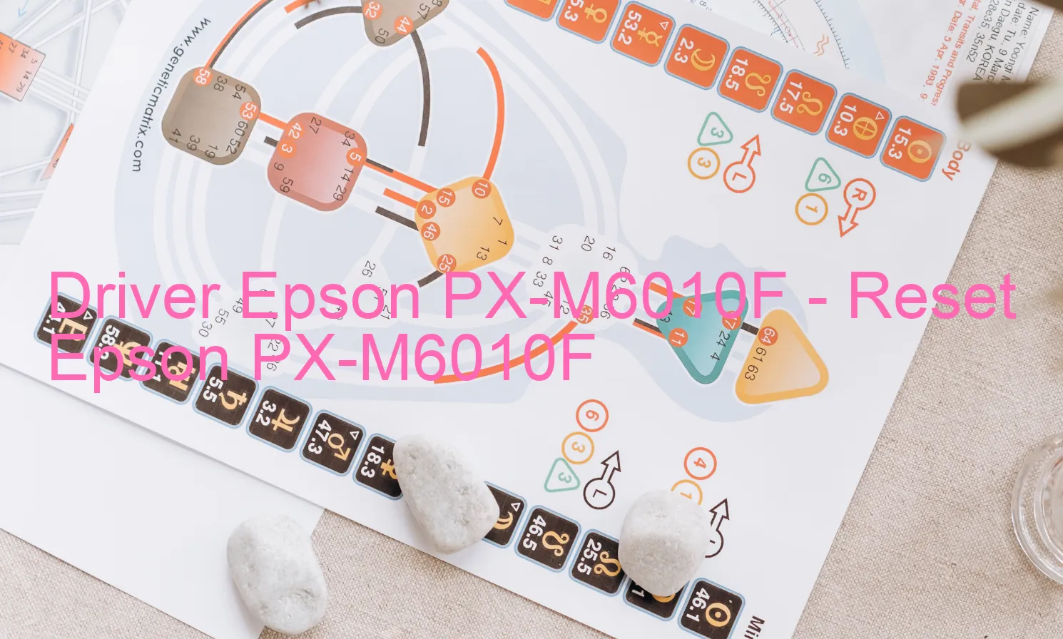 Epson PX-M6010Fのドライバー、Epson PX-M6010Fのリセットソフトウェア