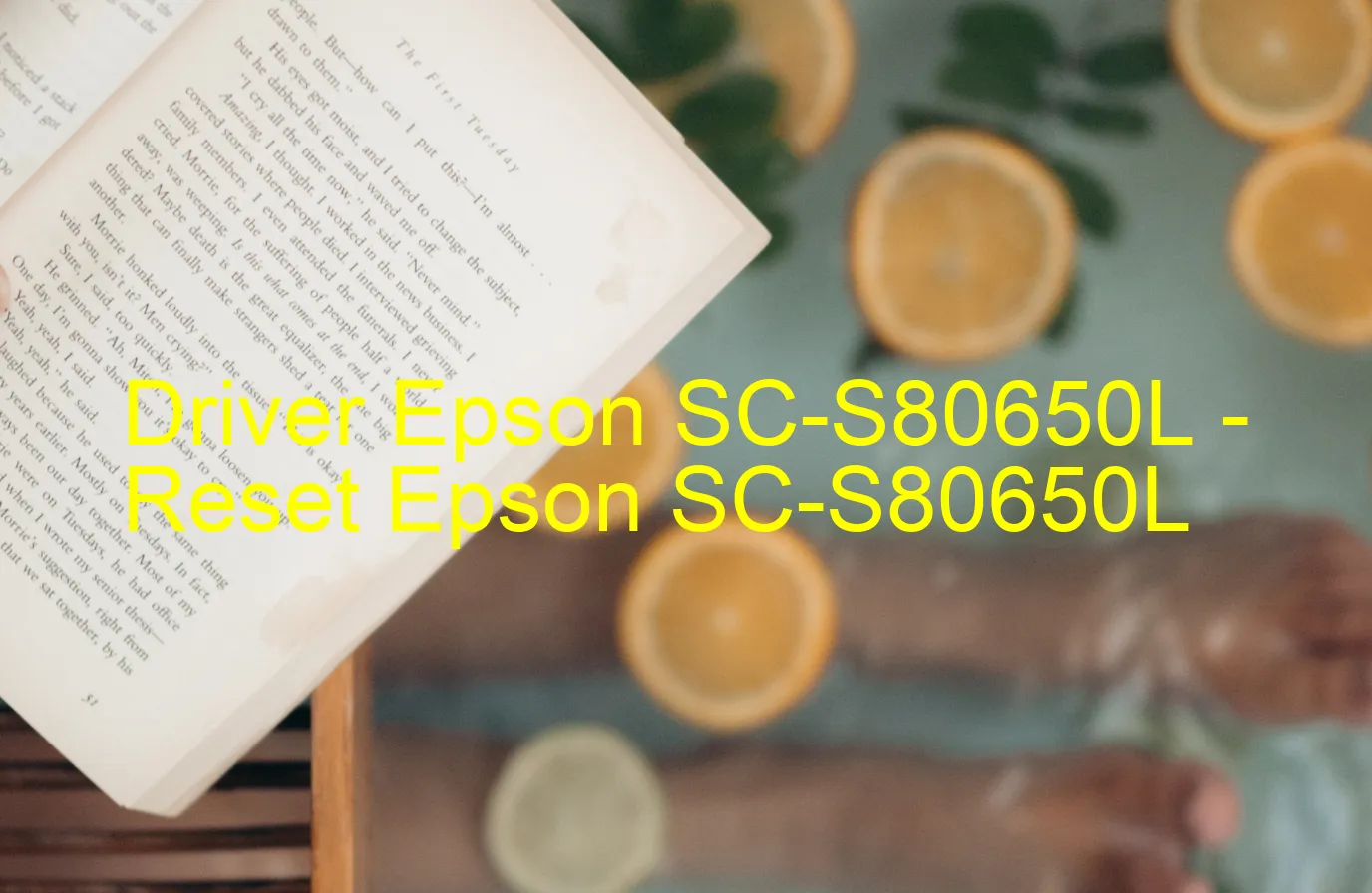 Epson SC-S80650Lのドライバー、Epson SC-S80650Lのリセットソフトウェア