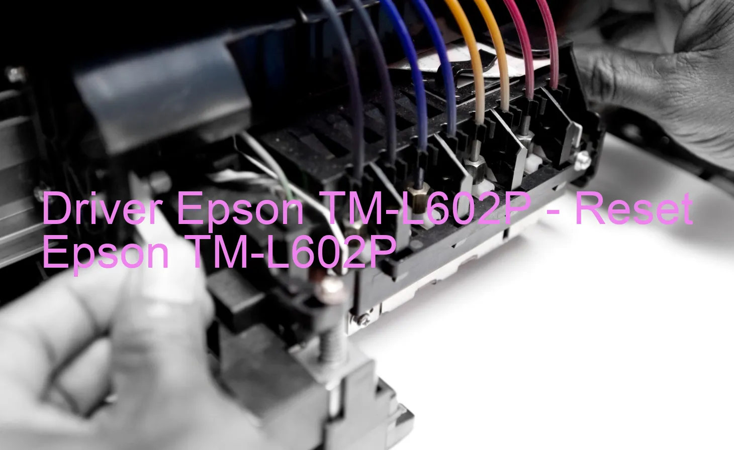 Epson TM-L602Pのドライバー、Epson TM-L602Pのリセットソフトウェア