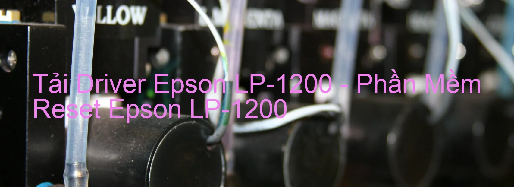 Driver Epson LP-1200, Phần Mềm Reset Epson LP-1200