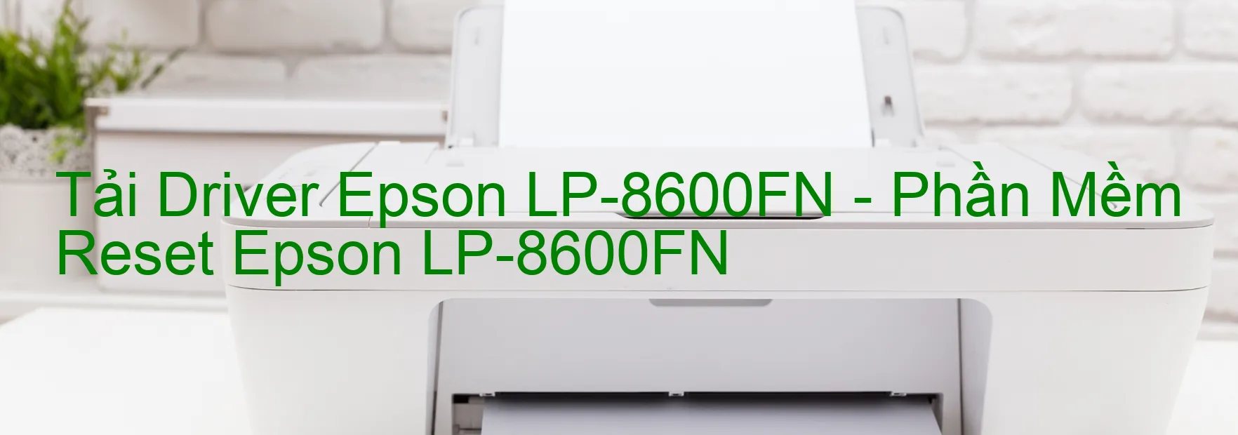 Driver Epson LP-8600FN, Phần Mềm Reset Epson LP-8600FN