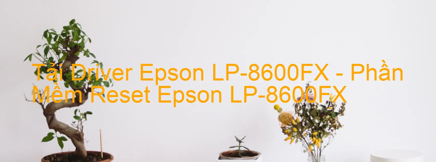 Driver Epson LP-8600FX, Phần Mềm Reset Epson LP-8600FX