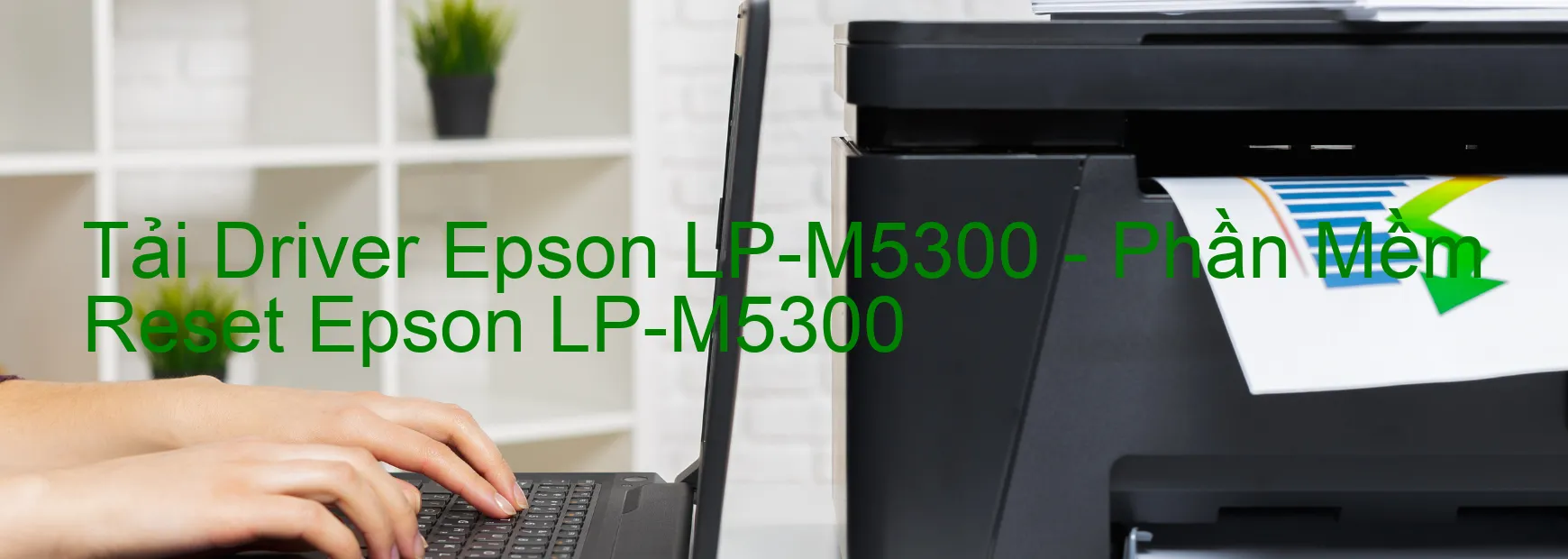 Driver Epson LP-M5300, Phần Mềm Reset Epson LP-M5300