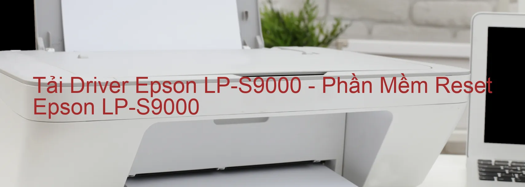 Driver Epson LP-S9000, Phần Mềm Reset Epson LP-S9000