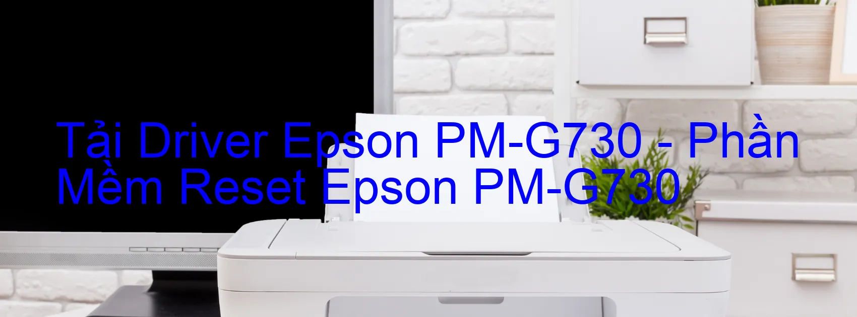 Driver Epson PM-G730, Phần Mềm Reset Epson PM-G730