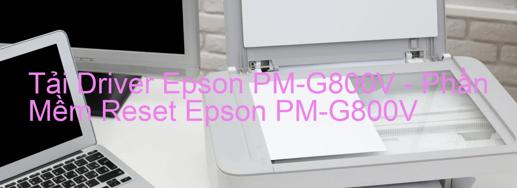 Driver Epson PM-G800V, Phần Mềm Reset Epson PM-G800V