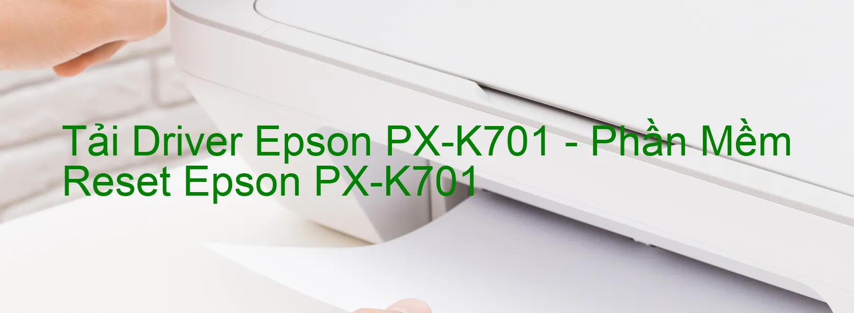 Driver Epson PX-K701, Phần Mềm Reset Epson PX-K701