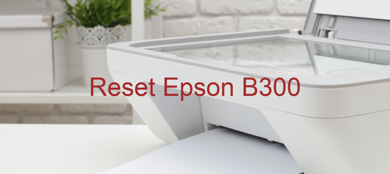 reset Epson B300