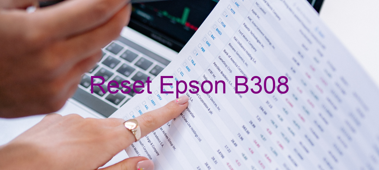 reset Epson B308