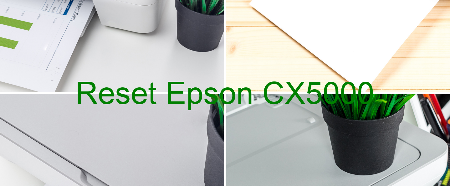 reset Epson CX5000