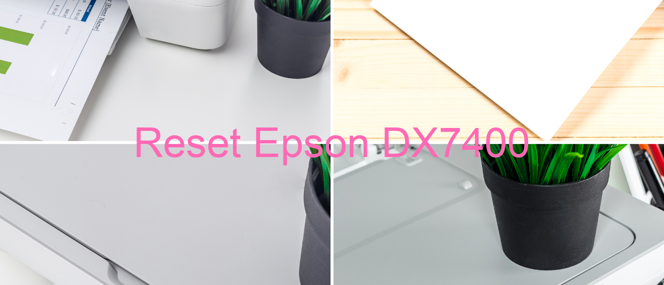reset Epson DX7400
