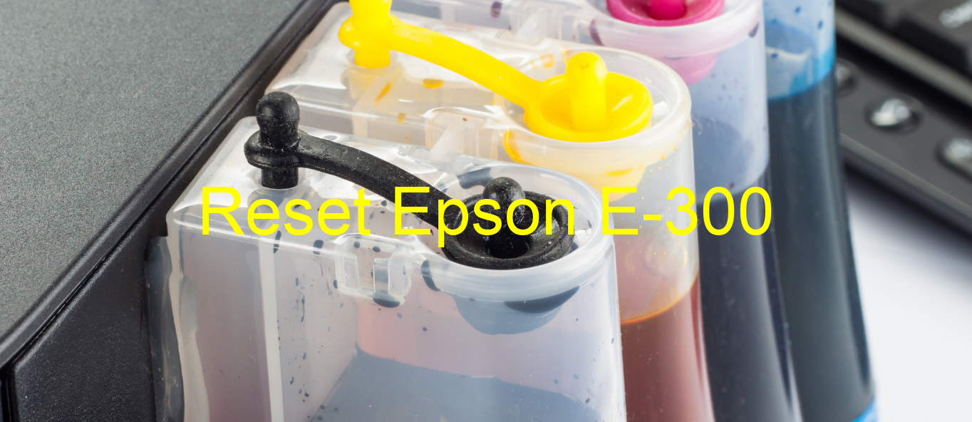 reset Epson E-300