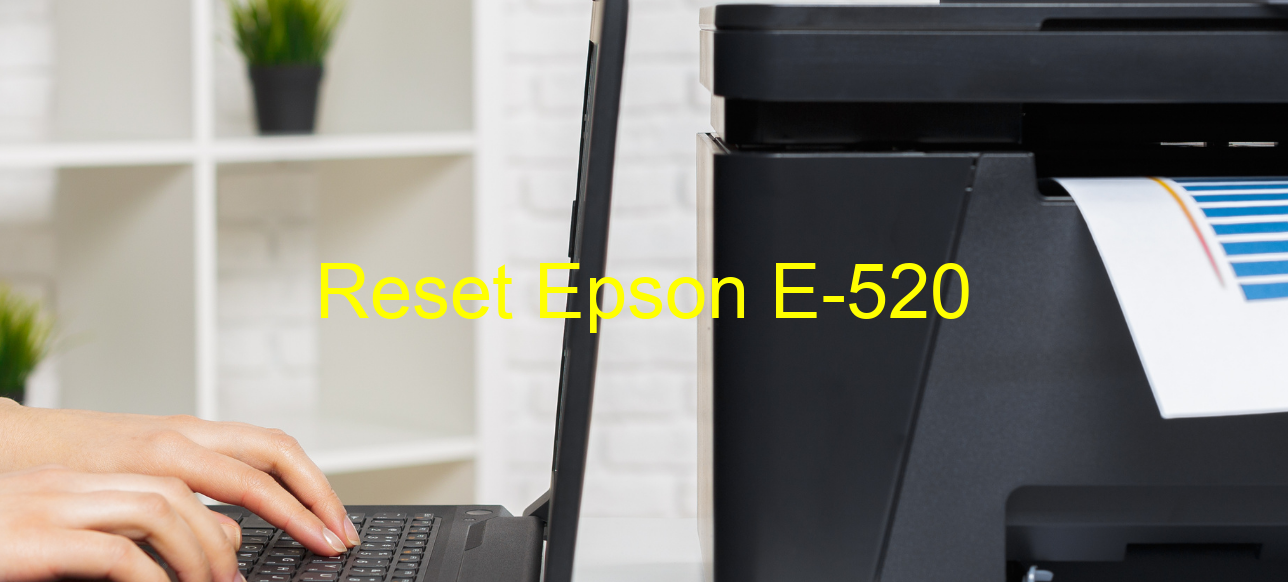 reset Epson E-520