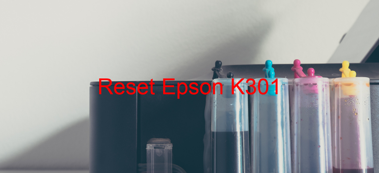 reset Epson K301