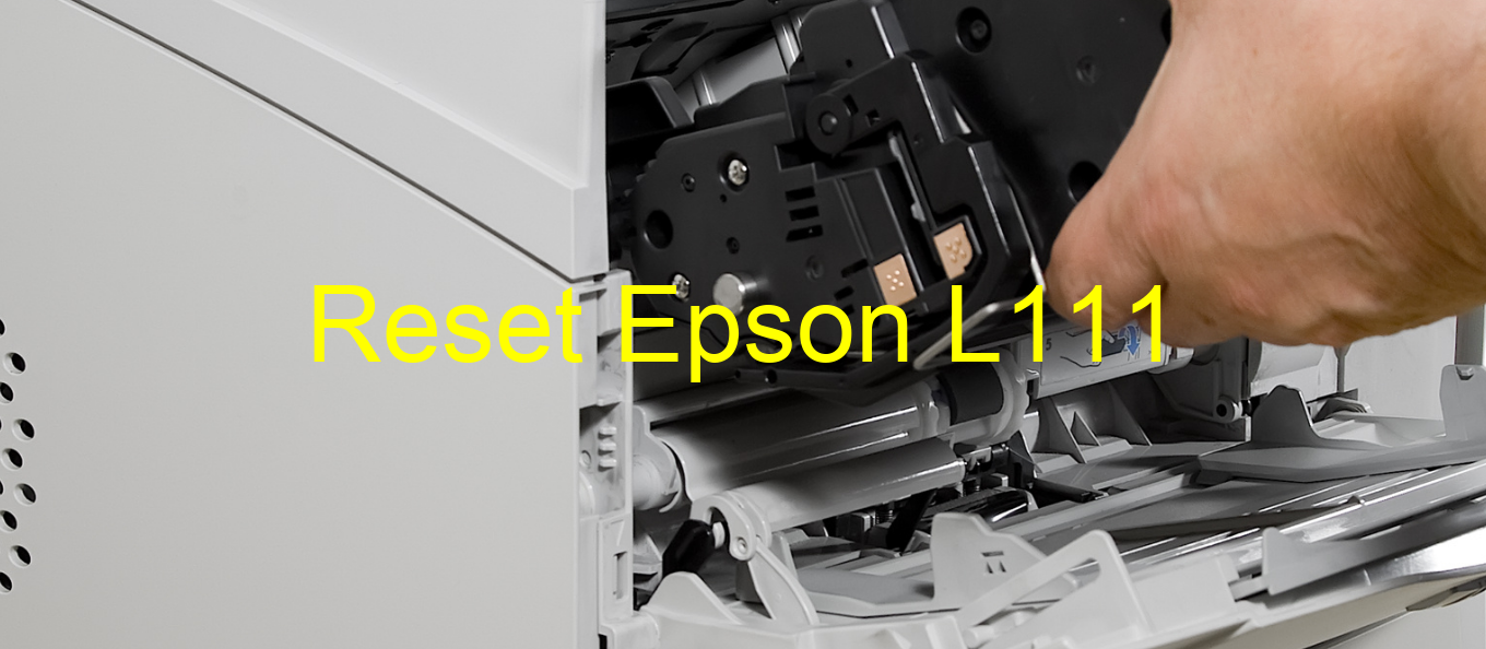 reset Epson L111