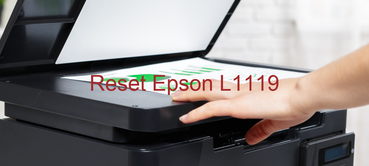reset Epson L1119