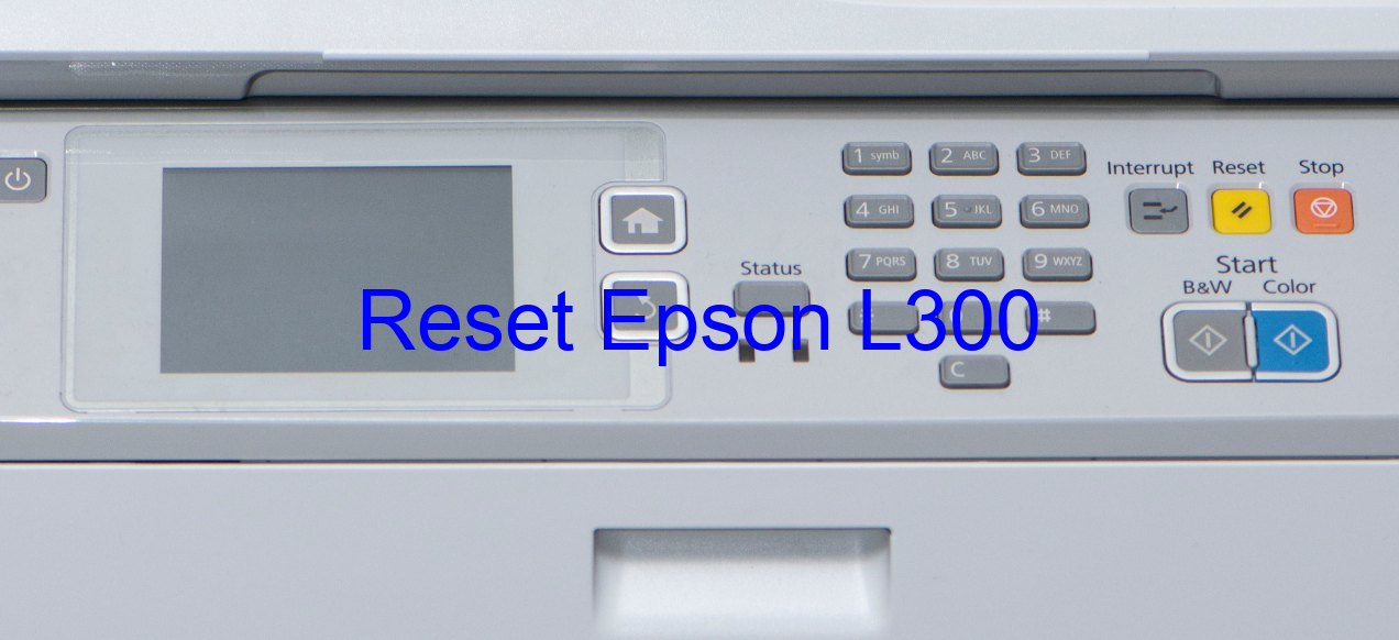 reset Epson L300